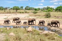 4 Days Luxury Tanzania Safari Tarangire and Serengeti Adventure