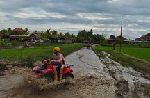 Private Guided Bali Swing and Waterfall Tour with ATV Quad Bike 