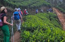 Half Day Hiking With Waterfall