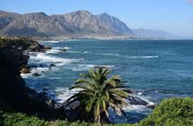 Whale Watching Hermanus - Boat base