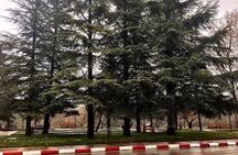  Private Full Day Trip From Fes to the Middle Atlas Towns