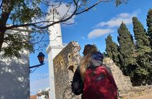 Colonia Day Trip & Optional Private Transfers from Buenos Aires