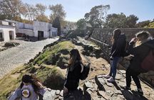 Colonia Day Trip & Optional Private Transfers from Buenos Aires