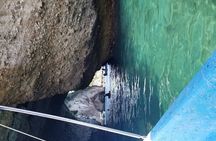 3 hours private snorkeling tour in Misaloya, Puerto Vallarta