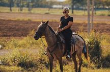 Jaco Beach Costa Rica Horseback Riding