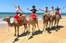 Tangier city break : Scenic Drive and Camel Trek