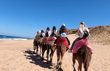 Tangier city break : Scenic Drive and Camel Trek