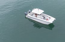 Private Full Day Boat Trip to Las Perlas and Contadora