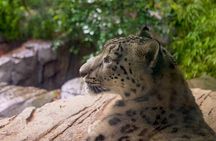 Central Park Zoo and 3hrs Manhattan Walking Tour