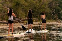 Group Intro to SUP in Toronto Island, Canada