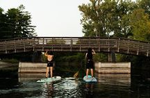 Group Intro to SUP in Toronto Island, Canada