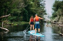 Group Intro to SUP in Toronto Island, Canada
