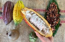 Chocolate Tour With Exfoliation in Beautiful River from Medellín!