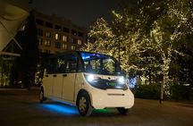 San Antonio Night Sightseeing Tour+Riverwalk Boat Cruise & Tower