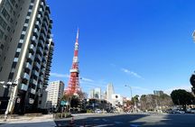 Tokyo Walking Tour : Sumo, Sushi, Tea, Temples and Tokyo Tower