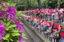 Tokyo Walking Tour : Sumo, Sushi, Tea, Temples and Tokyo Tower