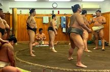 Tokyo Walking Tour : Sumo, Sushi, Tea, Temples and Tokyo Tower