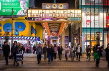 Osaka Private Tour with English-Speaking Driver