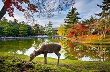 Nara Private Tour with Pick and Drop and English Speaking Driver