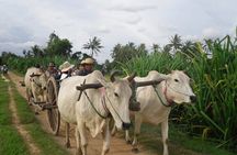 Cambodian Cooking Class and Oxcart Ride with Local Village Tour 
