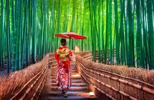 Kyoto and Nara Private Trip