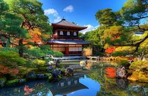 Kyoto Highlights Private Tour with Pick and Drop