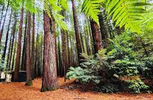 Rotorua & Taupo DayTour with Waiotapu & Huka Falls from Auckland