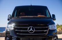 Rhodes and Lindos MINIVAN Private Tour