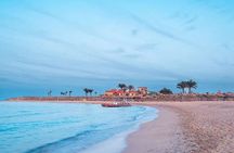 Abu Dabbab Semi Private Snorkeling with Lunch & Transfer Hurghada