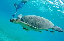Abu Dabbab Semi Private Snorkeling with Lunch & Transfer Hurghada