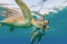 Abu Dabbab Semi Private Snorkeling with Lunch & Transfer Hurghada