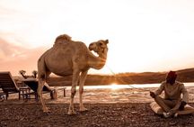 1000 & 1 Night at the Agafay Desert - White Camel Camp Experience