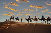 Camel Trekking & 1 Night in Merzouga Desert Camp