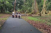 Bogor Botanical Garden, City and Miniature Park in Heritage