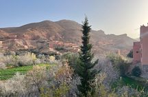 2 Days Trip From Marrakech To Ouarzazate & Dades Valley