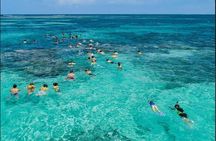 Catamaran Boat Party and Snorkeling in Punta Cana 