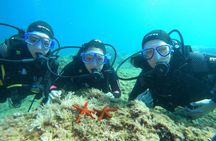 PADI Discover Scuba Diving in Dubrovnik