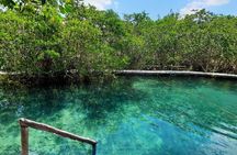 Full Day Excursion to the Best of Holbox From Riviera Maya