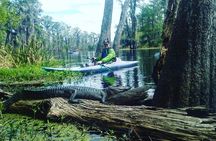 Plantation and Kayak Swamp Tour Adventure