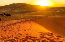 2 Day Private Overview of the Zagora Desert Tour