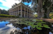 Plantation and Kayak Swamp Tour Adventure
