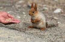 Adventure & Hike in Ala Archa National Park & Bishkek City Tour 