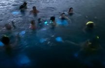 Bio Bay Swimming Experience with Boat Transport from La Parguera