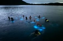 Bio Bay Swimming Experience with Boat Transport from La Parguera