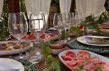 Lucca - Wine tasting at Tenuta Mareli