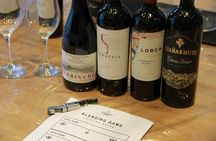 BA: Small Group Wine Tasting and Blending in Palermo
