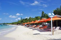 Roatan Excursion: Sloth Park and West Bay Beach Day Pass