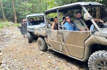  UTV 4wd Cassowary Falls and Daintree Rainforest Adventure tour 