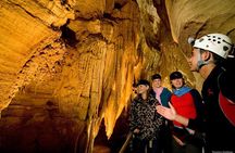 Waitomo - Twin Caves Discovery - Private Day Tour from Auckland