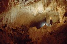 Waitomo - Twin Caves Discovery - Private Day Tour from Auckland